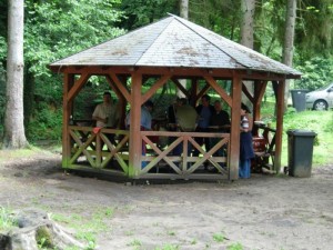 Picnic / Grillfest 2025