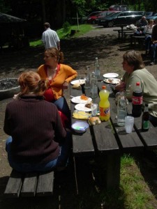Picnic / Grillfest 2025