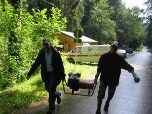 Picnic / Grillfest 2025