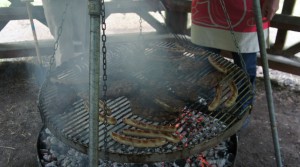 Picnic / Grillfest 2025