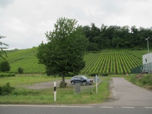 REEL 2026 zu Oochen