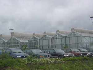REEL 2026 zu Oochen