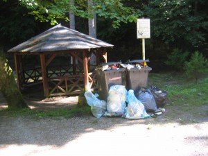 Picnic / Grillfest 2025