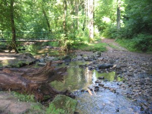 REEL 2026 zu Oochen