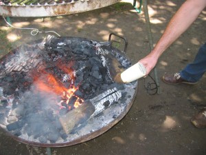 Picnic / Grillfest 2025