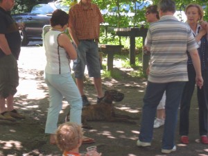 Picnic / Grillfest 2025