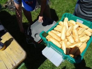 Picnic / Grillfest 2025